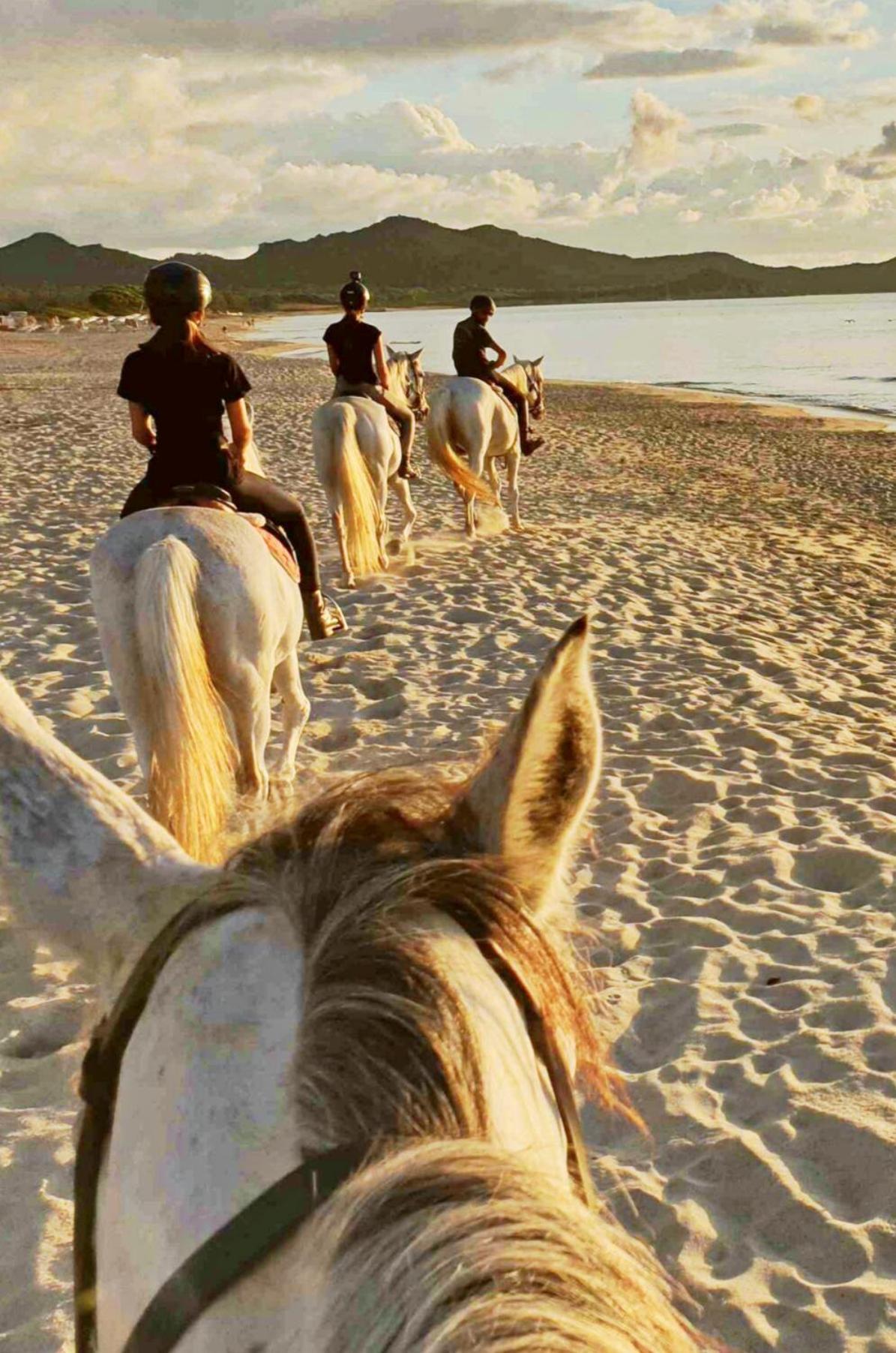 Homestay Stella Dorada A Soli 5 Minuti Dalle Spiagge Le Nostre Camere Offrono Tutto Il Necessario Per La Tua Vacanza Perfetta